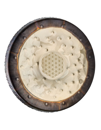 Meinl Sonic Energy SGFOL22 22