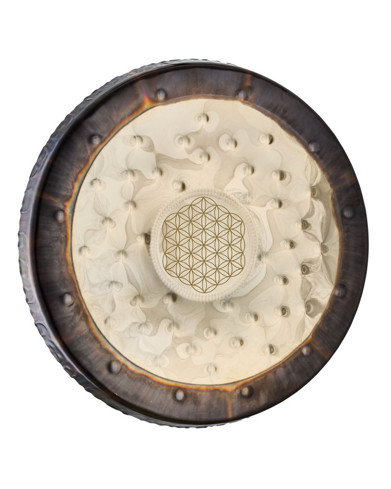 Meinl Sonic Energy SGFOL22 22