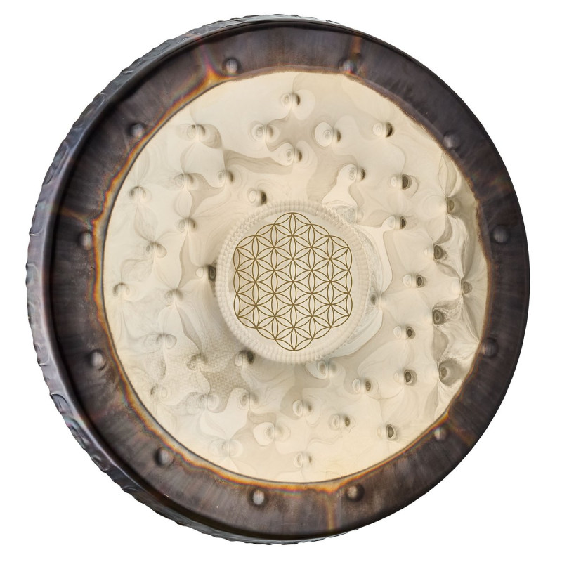 Meinl Sonic Energy SGFOL22 22