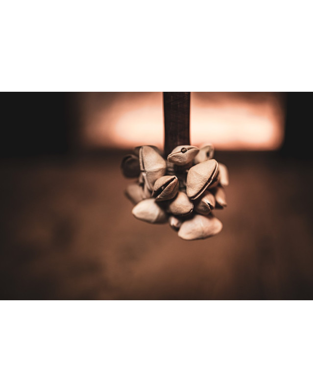 Meinl Sonic Energy SKH Kenari Rod Shaker