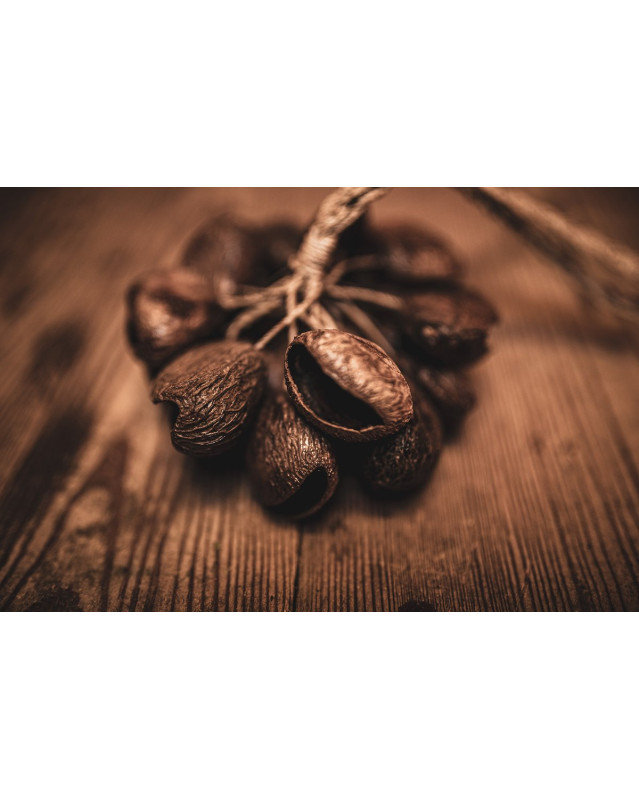 Meinl Sonic Energy SPGRS Pangi Shaker - Small