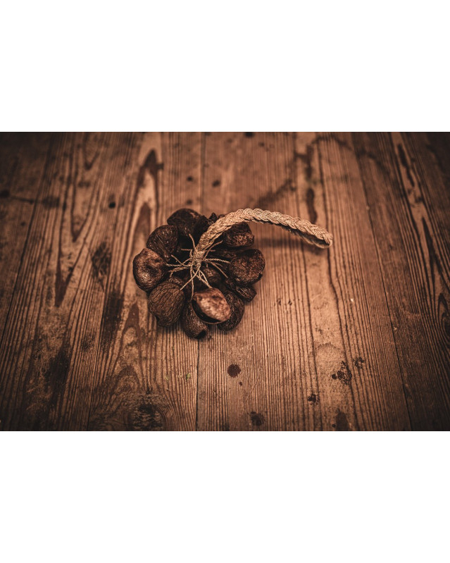 Meinl Sonic Energy SPGRS Pangi Shaker - Small