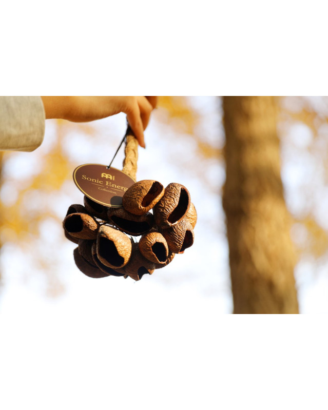 Meinl Sonic Energy SPGRS Pangi Shaker - Small