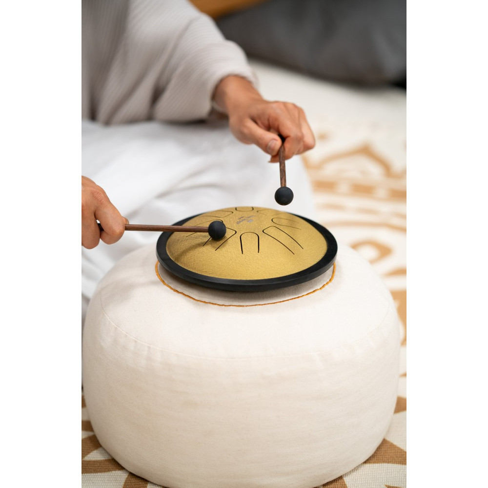 Meinl Sonic Energy SSTD3G Small Steel Tongue Drum 7