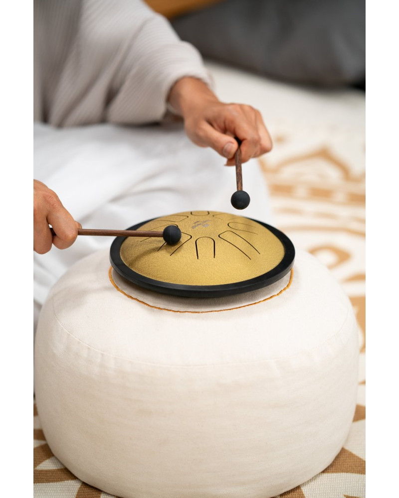 Meinl Sonic Energy SSTD3G Small Steel Tongue Drum 7