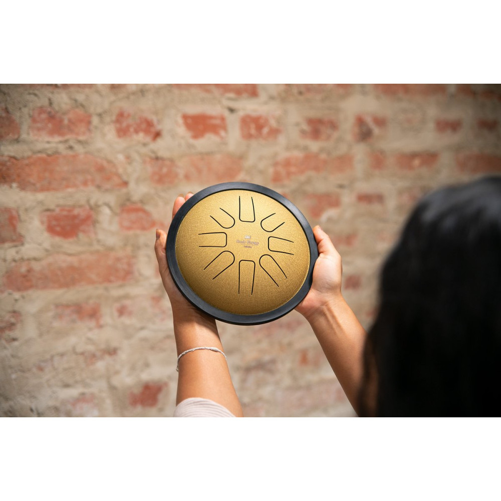 Meinl Sonic Energy SSTD3G Small Steel Tongue Drum 7