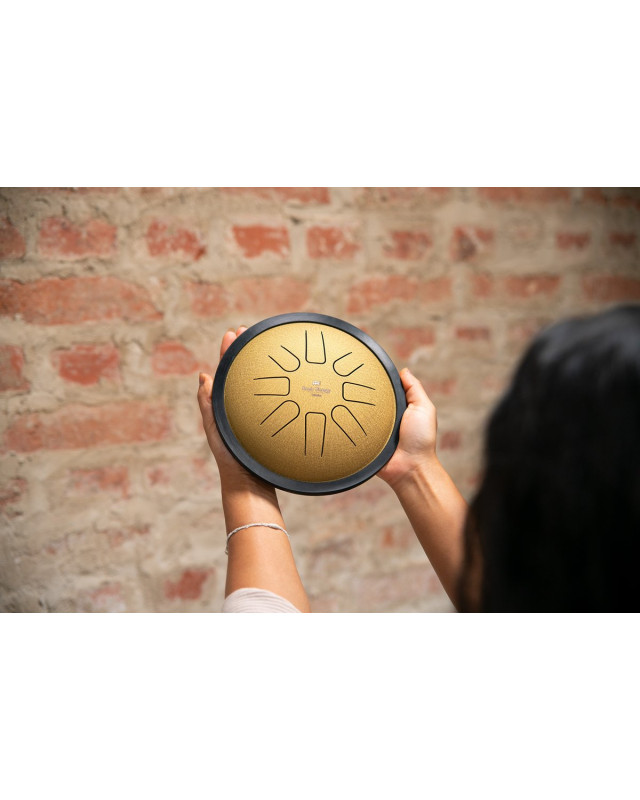 Meinl Sonic Energy SSTD3G Small Steel Tongue Drum 7