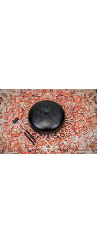 Meinl Sonic Energy STD1BK Steel Tongue Drum 12