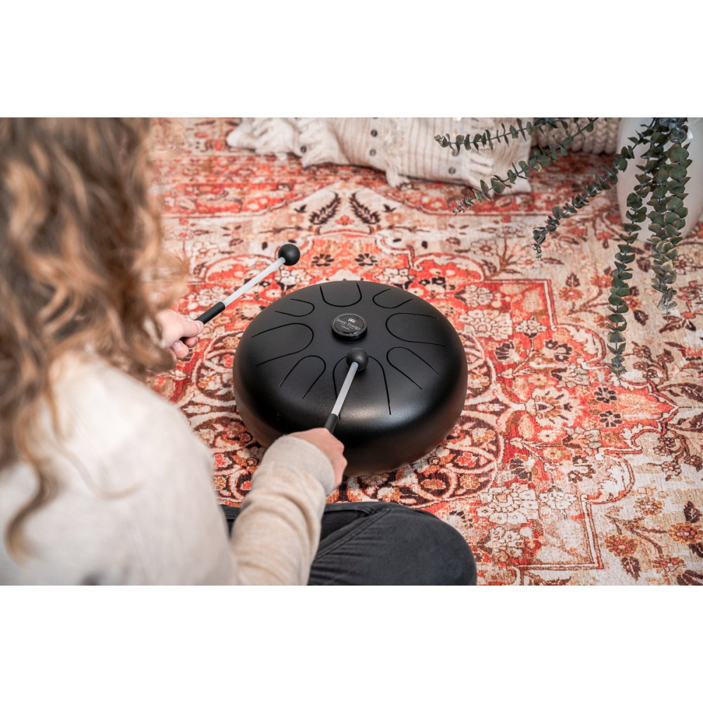 Meinl Sonic Energy STD1BK Steel Tongue Drum 12