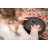 Meinl Sonic Energy STD1VB Steel Tongue Drum 12