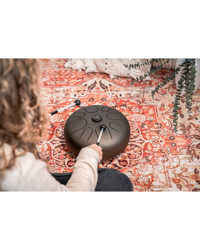 Meinl Sonic Energy STD2VB Steel Tongue Drum 12