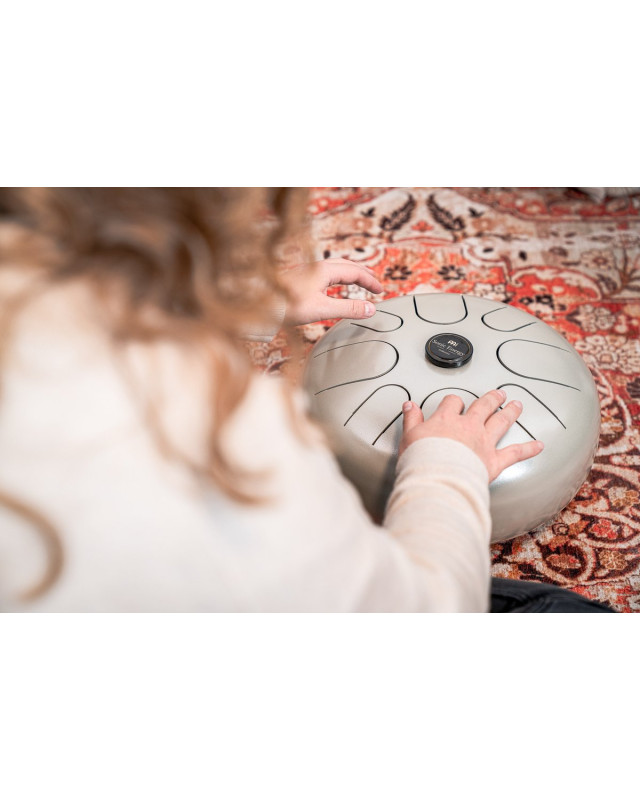 Meinl Sonic Energy STD4PG Steel Tongue Drum 12