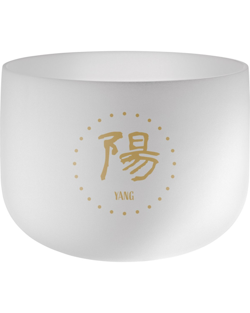 Meinl Sonic Energy TCMCSB14-YG 14