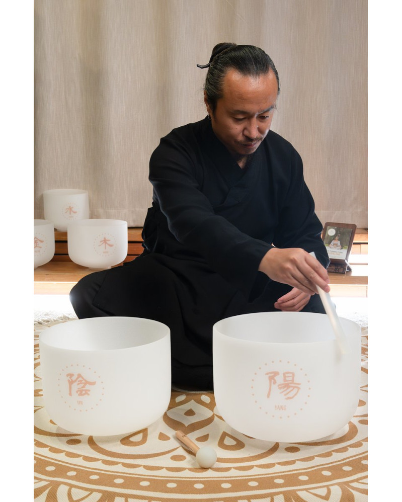 Meinl Sonic Energy TCMCSBSET2 2-piece TCM Crystal Singing Bowl Yin & Yang Set