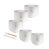Meinl Sonic Energy TCMCSBSET5 5-piece TCM Crystal Singing Bowl Elements Set
