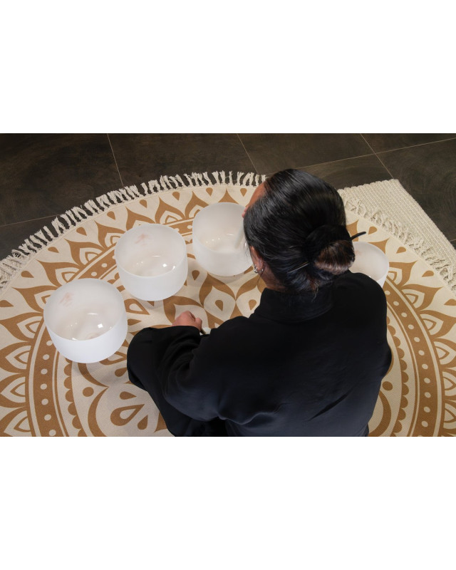 Meinl Sonic Energy TCMCSBSET5 5-piece TCM Crystal Singing Bowl Elements Set