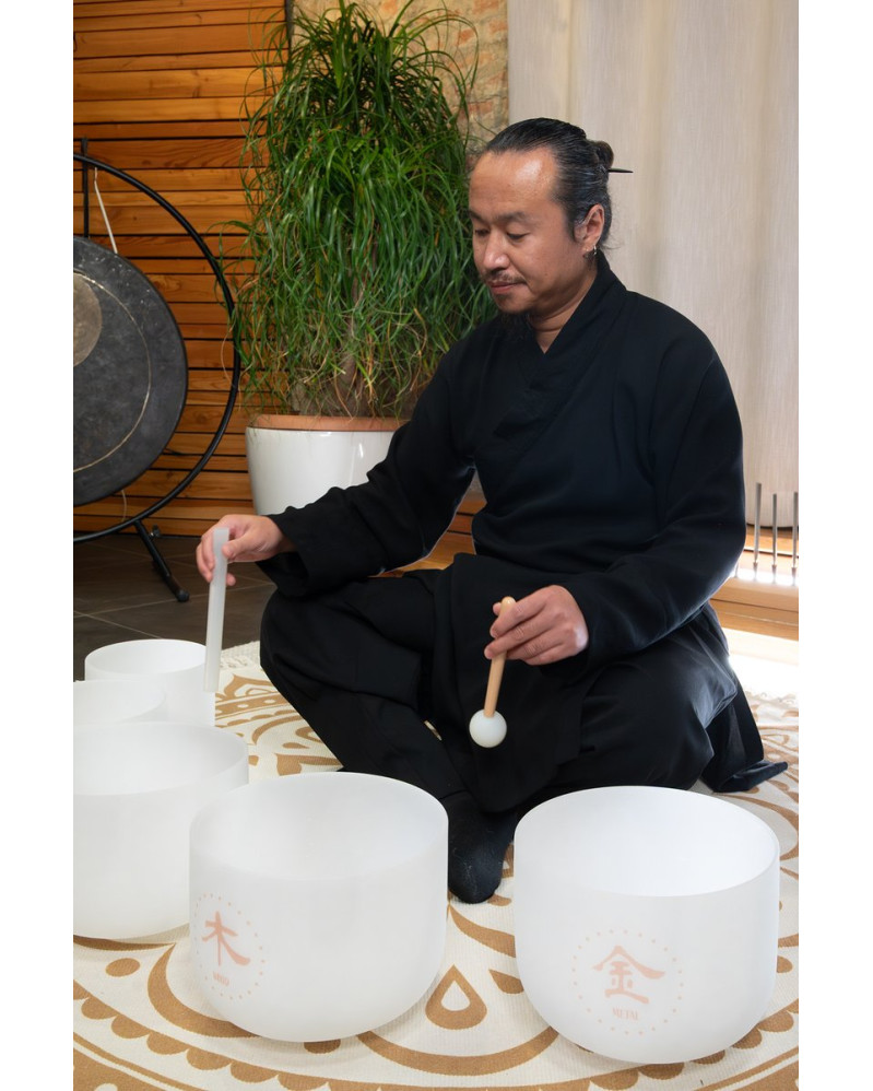 Meinl Sonic Energy TCMCSBSET5 5-piece TCM Crystal Singing Bowl Elements Set