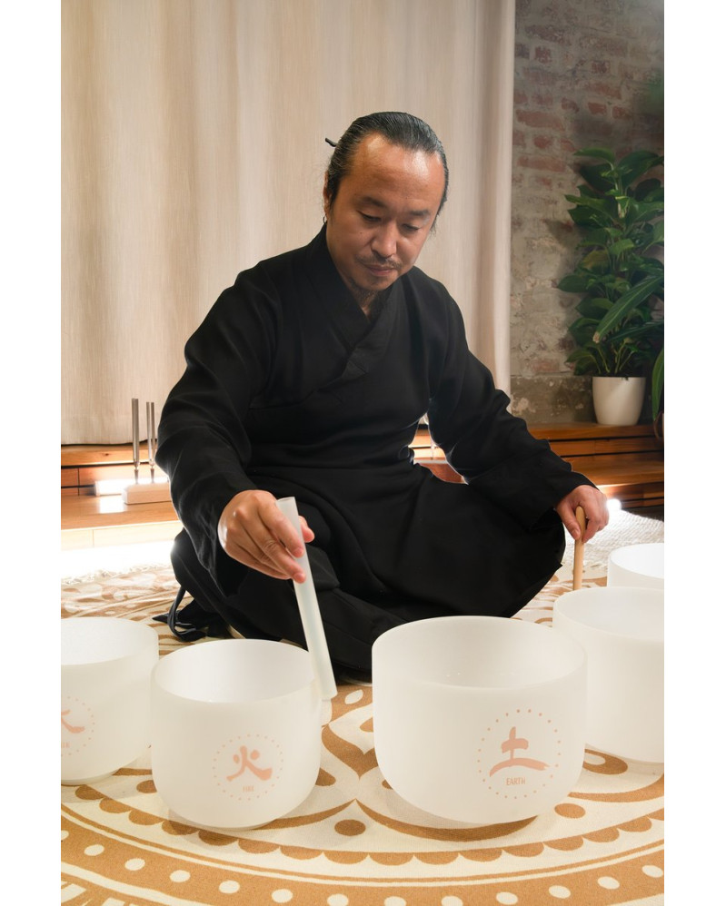 Meinl Sonic Energy TCMCSBSET5 5-piece TCM Crystal Singing Bowl Elements Set