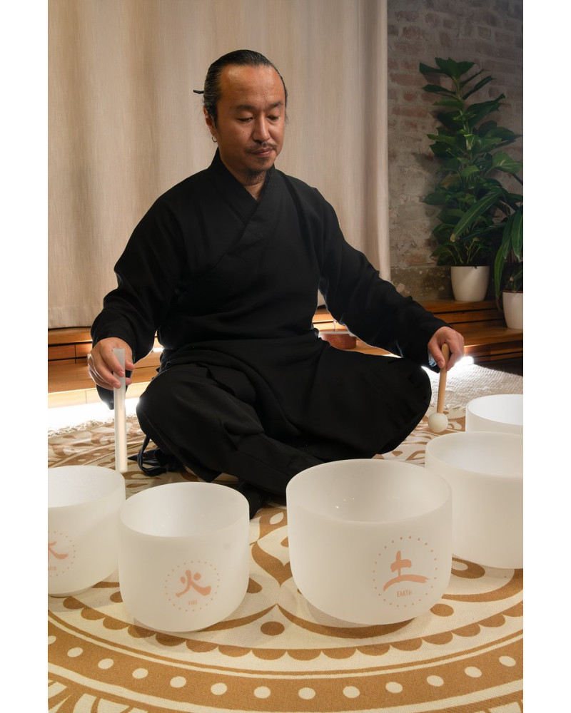 Meinl Sonic Energy TCMCSBSET5 5-piece TCM Crystal Singing Bowl Elements Set