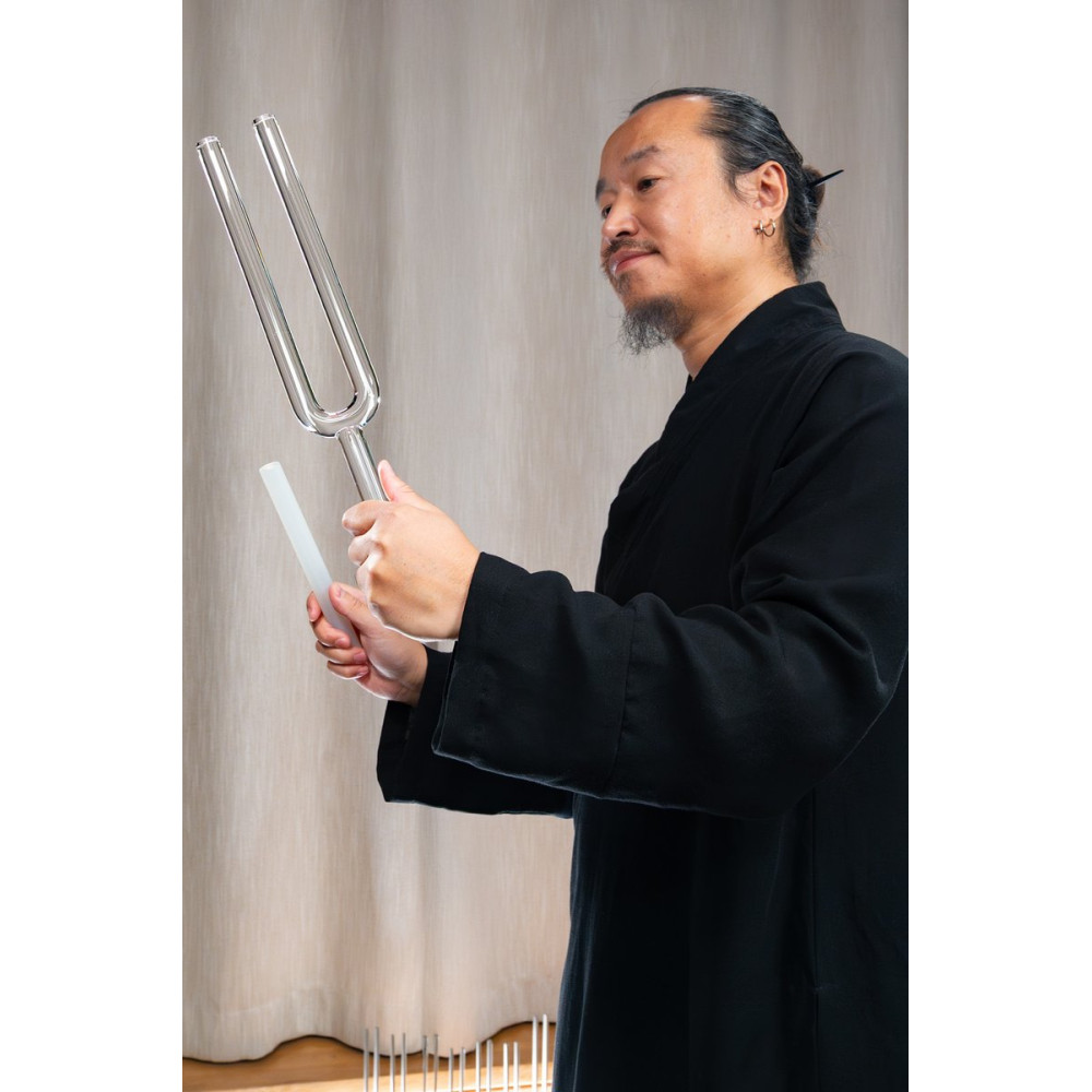 Meinl Sonic Energy TCMCTFSET 2-piece TCM Crystal Tuning Fork Yin & Yang Set