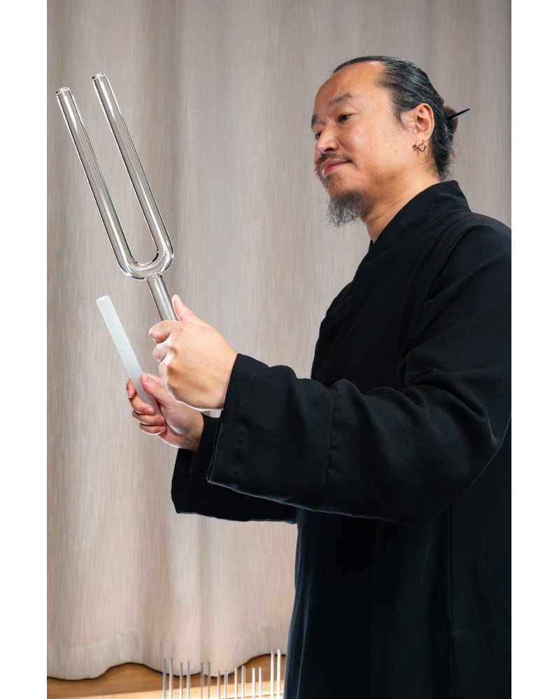 Meinl Sonic Energy TCMCTFSET 2-piece TCM Crystal Tuning Fork Yin & Yang Set