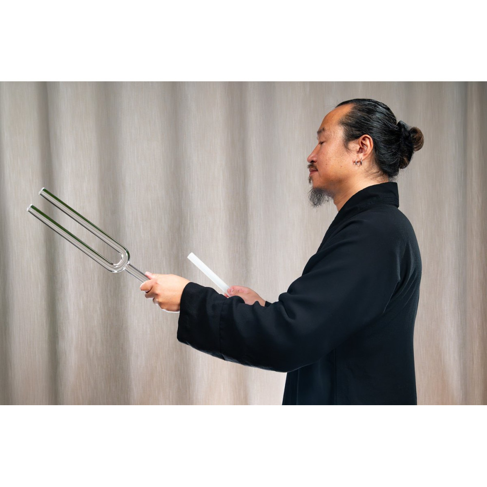 Meinl Sonic Energy TCMCTFSET 2-piece TCM Crystal Tuning Fork Yin & Yang Set