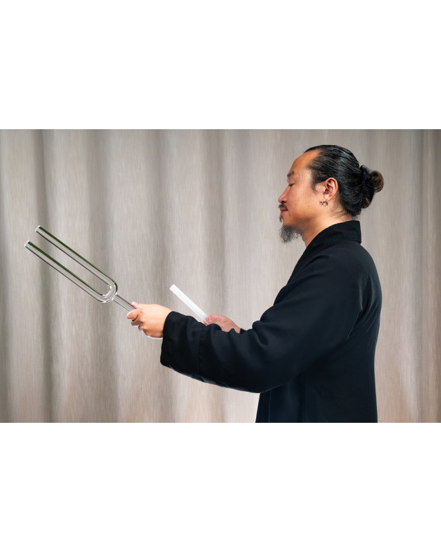 Meinl Sonic Energy TCMCTFSET 2-piece TCM Crystal Tuning Fork Yin & Yang Set