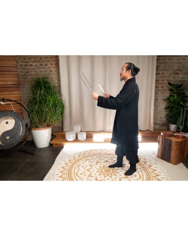 Meinl Sonic Energy TCMCTFSET 2-piece TCM Crystal Tuning Fork Yin & Yang Set