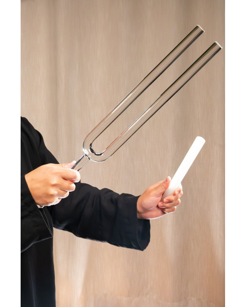 Meinl Sonic Energy TCMCTFSET 2-piece TCM Crystal Tuning Fork Yin & Yang Set