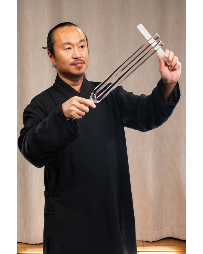 Meinl Sonic Energy TCMCTFSET 2-piece TCM Crystal Tuning Fork Yin & Yang Set