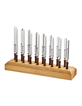 Meinl Sonic Energy TF-SET-16 Planetary Tuned Tuning Forks Complete Set-up - Content: 16 Tuning Forks, including Stand