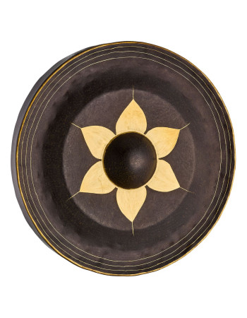 Meinl Sonic Energy THG20 20