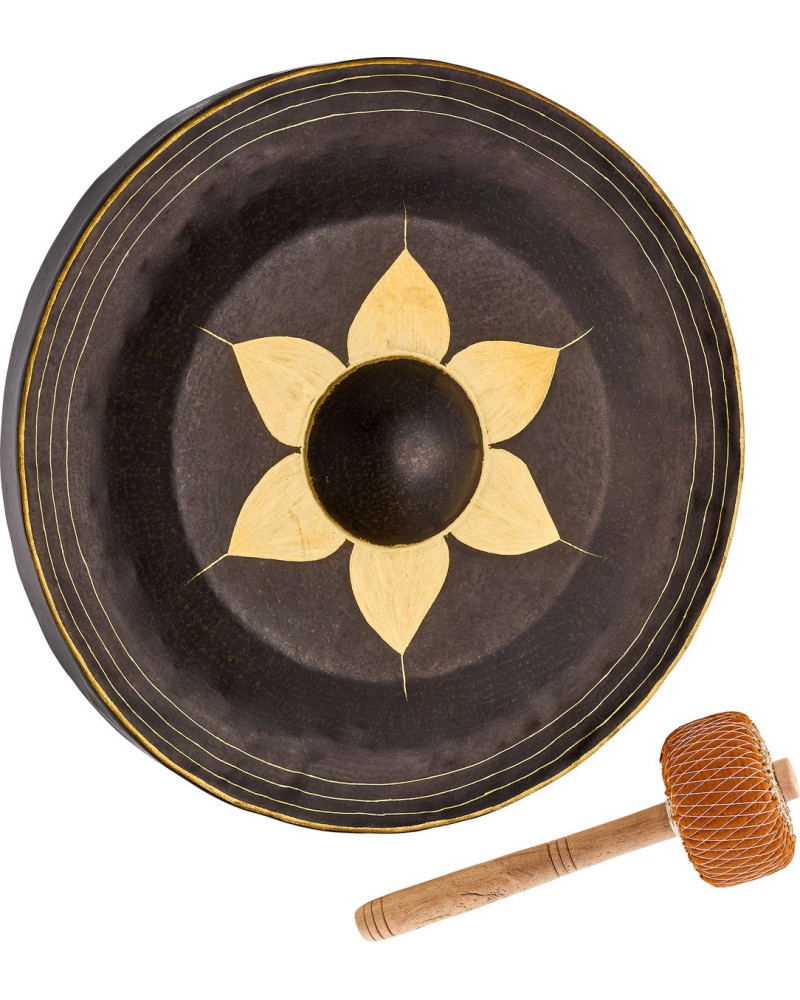 Meinl Sonic Energy THG20 20