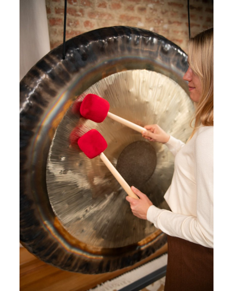 Meinl Sonic Energy TT50 Symphonic Tam Tam - 50