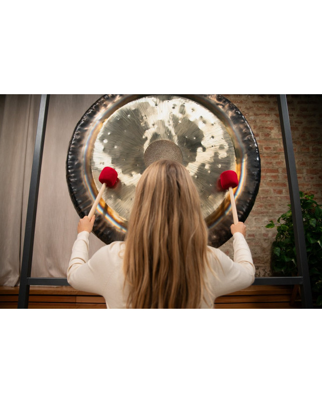 Meinl Sonic Energy TT50 Symphonic Tam Tam - 50