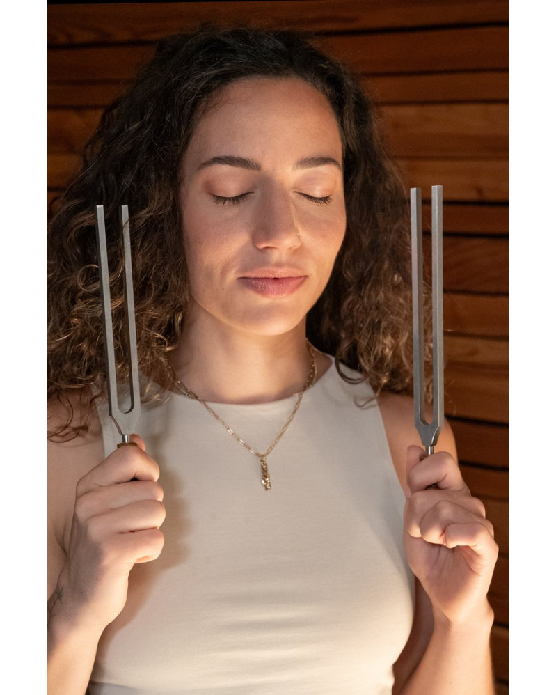 Meinl Sonic Energy TTF-DELTA-SET 2-piece Binaural Therapy Tuning Fork Set, Delta