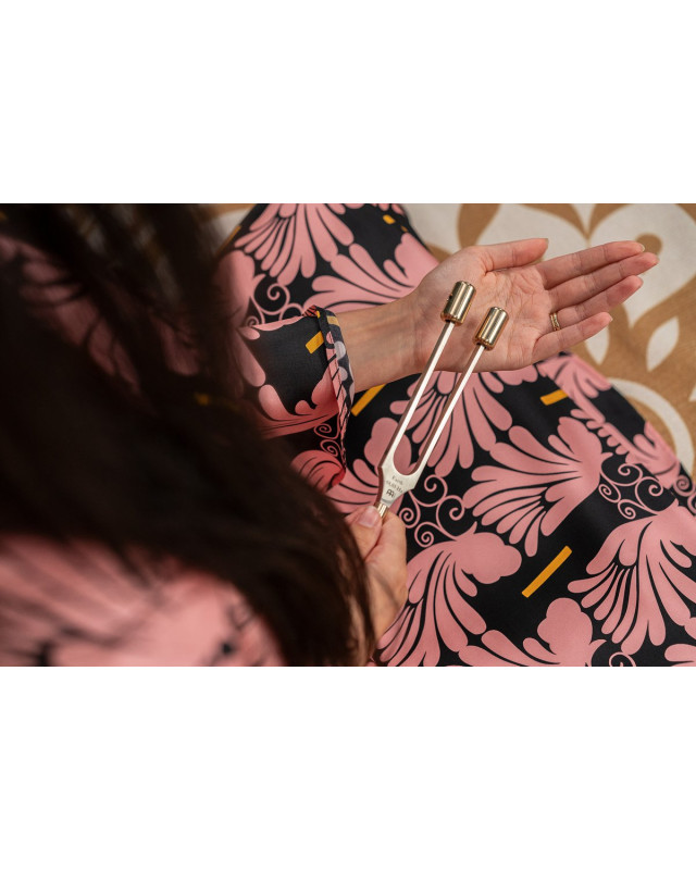 Meinl Sonic Energy TTF-E-G Grounding Therapy Tuning Fork, Earth Year / Om 68.05 Hz