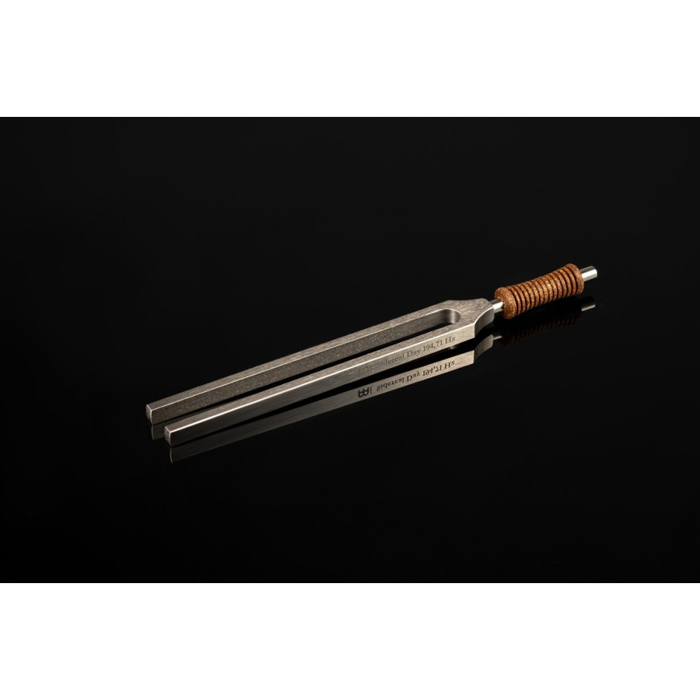 Meinl Sonic Energy TTF-E-SI Therapy Tuning Fork - Sidereal Day - 194.71 Hz/G3