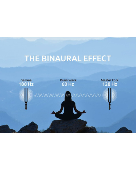 Meinl Sonic Energy TTF-GAMMA Binaural Therapy Tuning Fork, Gamma 188 Hz