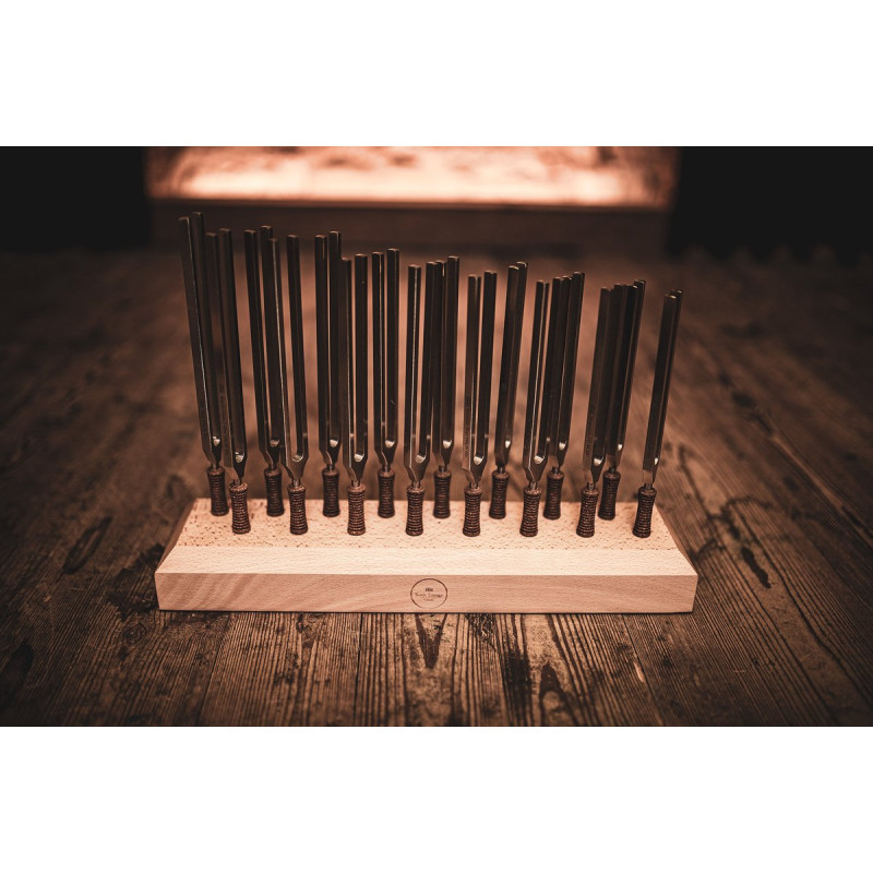 Meinl Sonic Energy TTF-SET-16 Planetary Tuned Therapy Tuning Fork Set - 16 pcs.