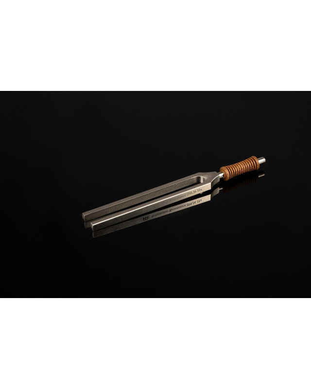 Meinl Sonic Energy TTF-SF Therapy Tuning Fork - Schumann Frequency - 250.56 Hz