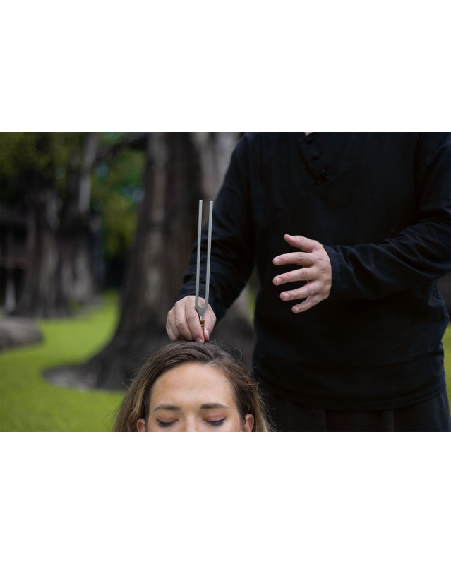 Meinl Sonic Energy TTF-TCM-YYSET 2-piece TCM Therapy Tuning Fork Yin & Yang Set