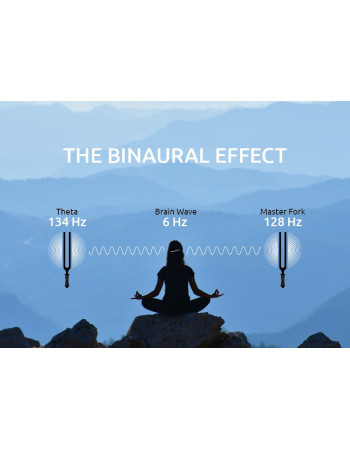 Meinl Sonic Energy TTF-THETA-SET 2-piece Binaural Therapy Tuning Fork Set, Theta