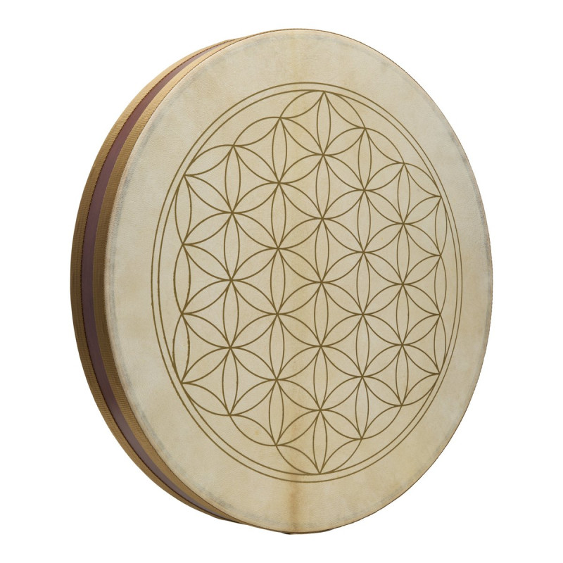 Meinl Sonic Energy WD20FOL 20