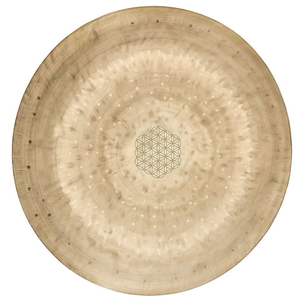 Meinl Sonic Energy WGFOL14 14