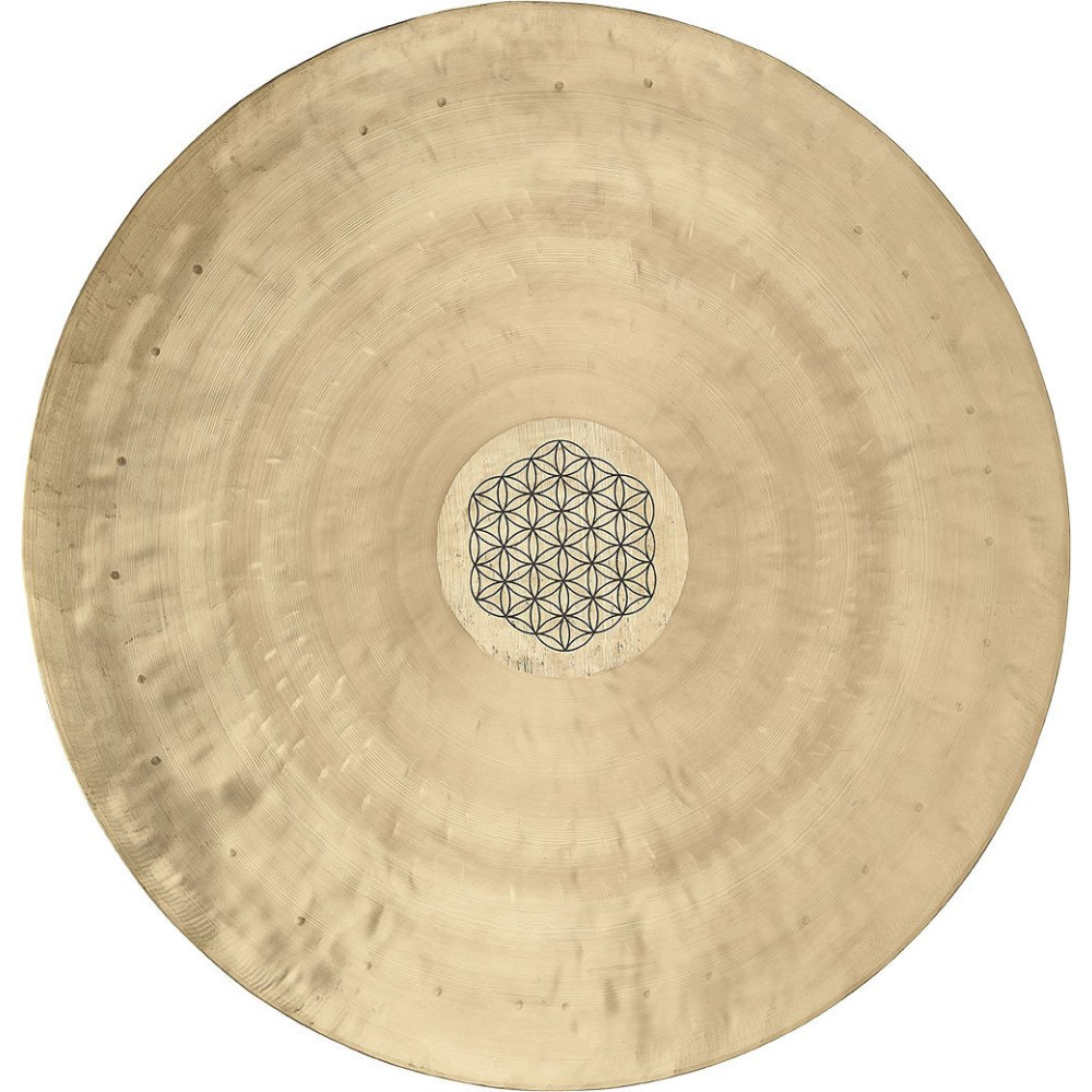 Meinl Sonic Energy WGFOL20 Wind Gong - Flower of Life 20