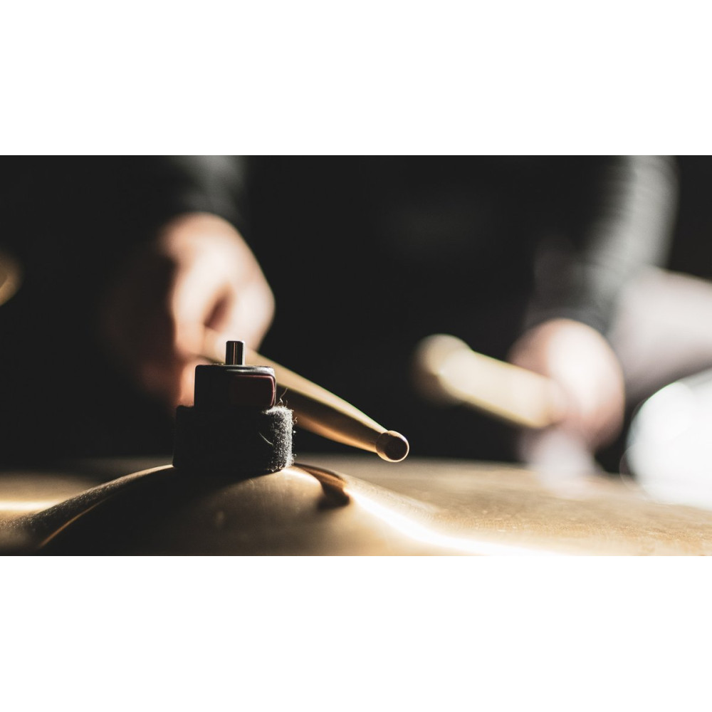 MEINL Stick & Brush - Alternative Switch Stick 5A