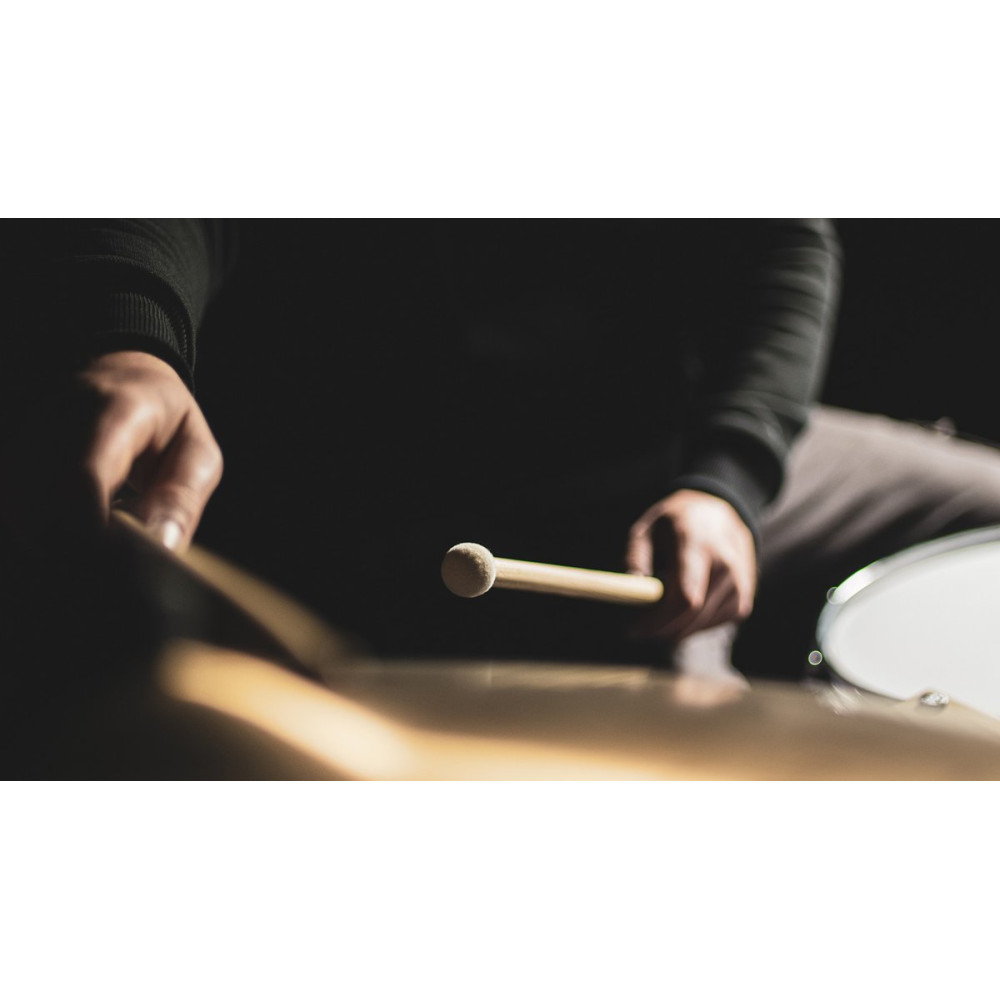 MEINL Stick & Brush - Alternative Switch Stick 5A