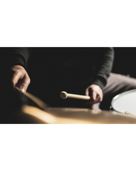 MEINL Stick & Brush - Alternative Switch Stick 5A