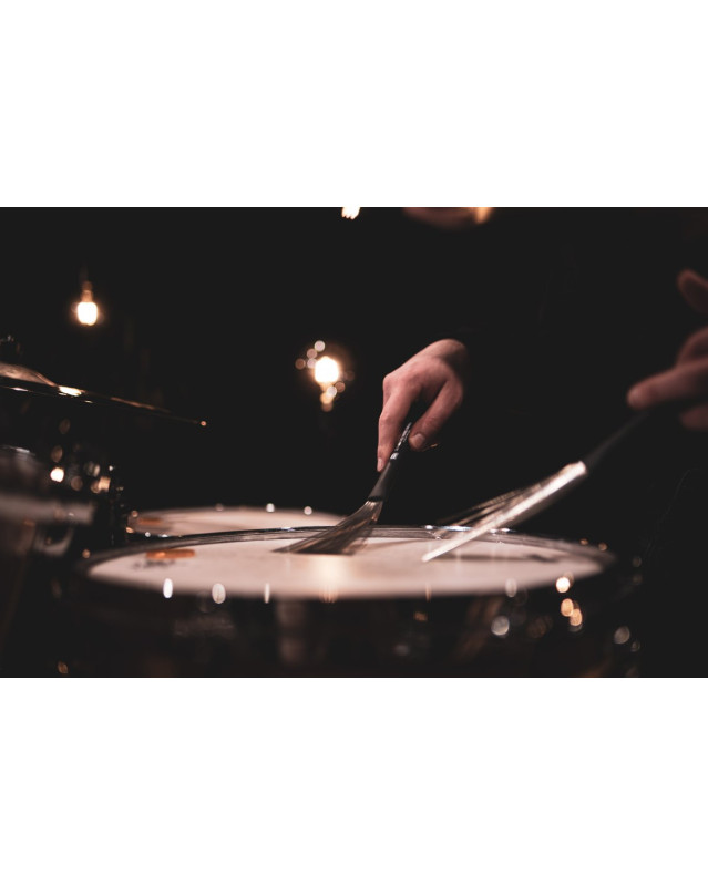 MEINL Stick & Brush - Standard Wire Brush